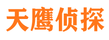 磐石侦探